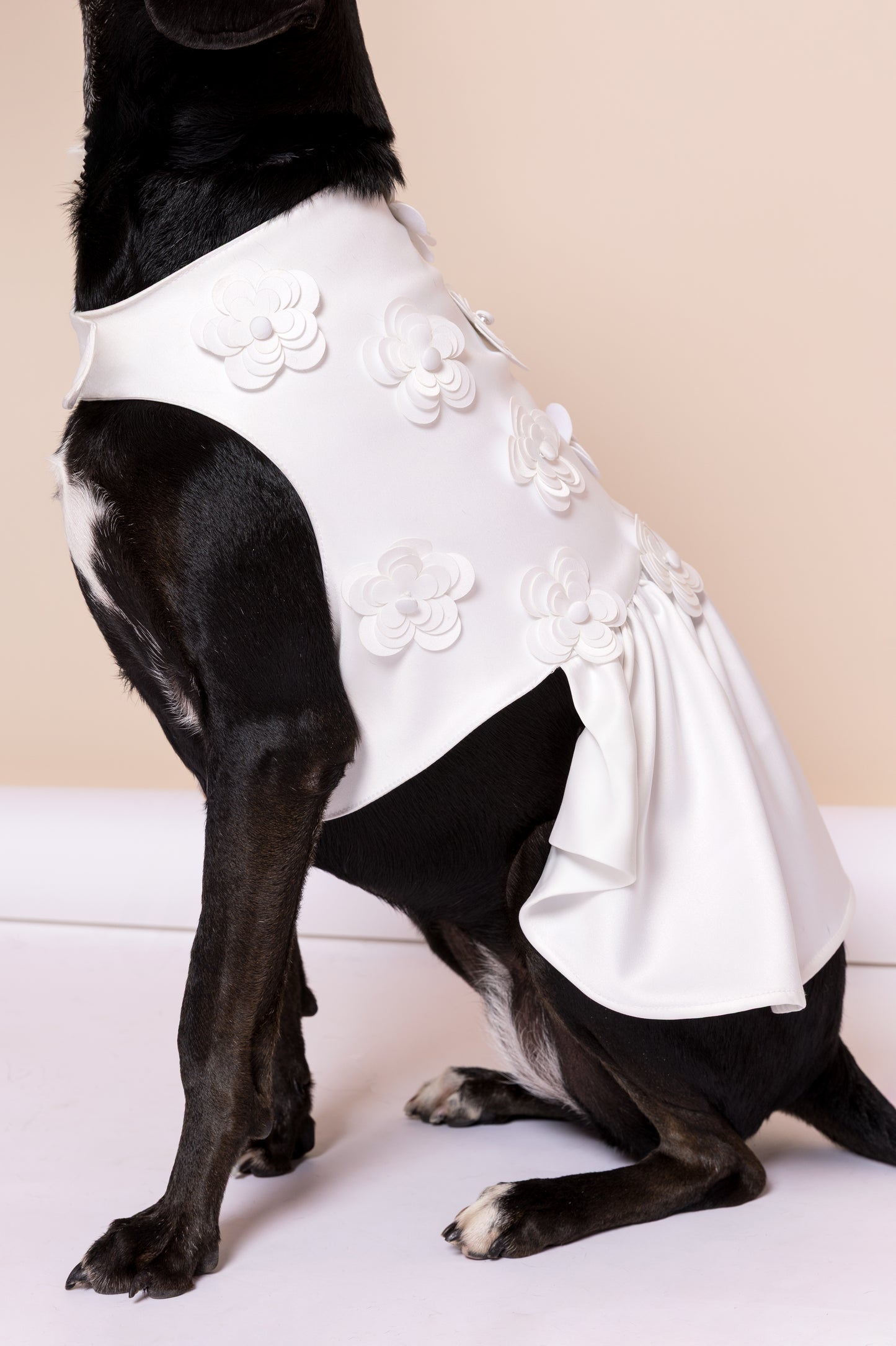 Vestido Noiva Pet