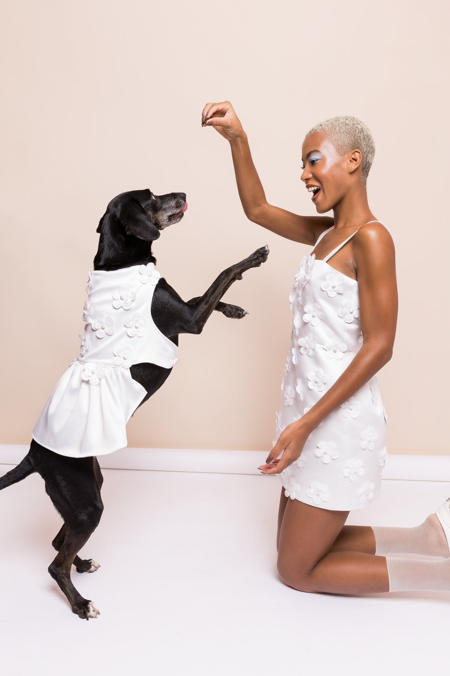 Vestido Noiva Pet