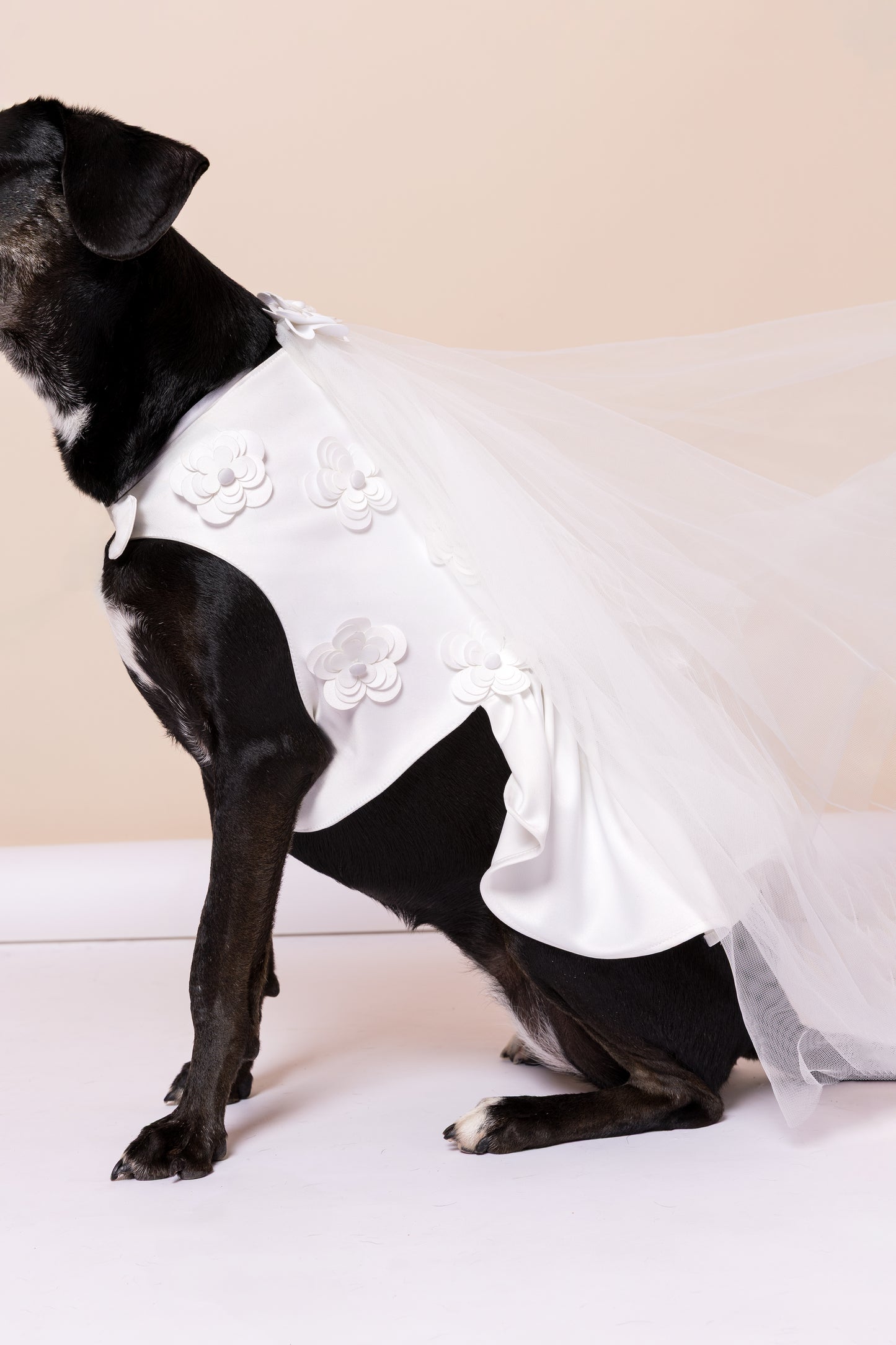 Vestido Noiva Pet