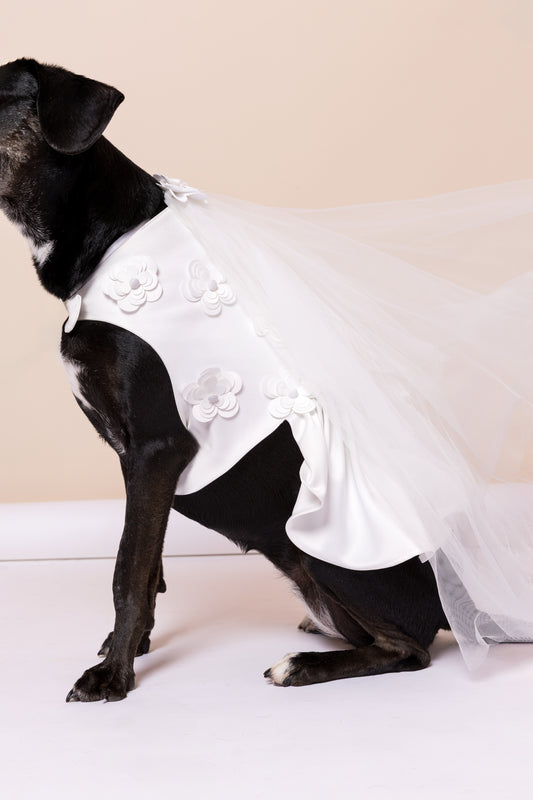 Vestido Noiva Pet