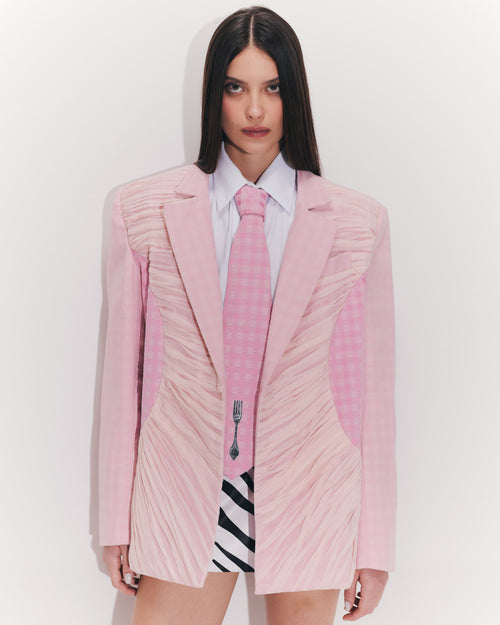 Blazer Picnic